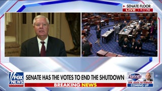 Sen. Lindsey Graham: Senator Schumer is ‘probably toast’ - Fox News