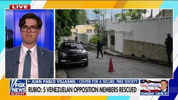 Rescue of Venezuelan opposition members an 'Argo-like operation': Juan Pablo Villasmil