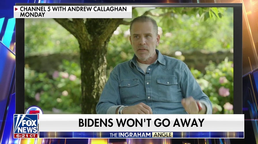 Biden family, Democratic Party are ‘a cancer on this country,’ says conservative activist