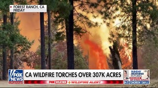 California wildfire becomes 12th largest in state history - Fox News