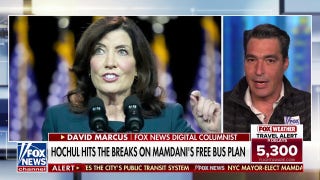 Columnist reveals 'most telling' infinitesimal successful Mamdani run - Fox News