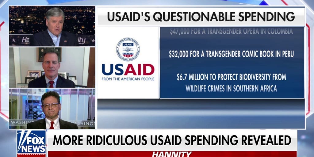 DOGE is targeting 'multi-billion dollar money pot,' former USAID chief operating officer says