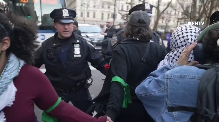 Pro-Palestinian protesters clash with NYPD officers as anti-Israel activist faces deportation