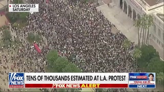 Los Angeles anti-Trump protest draws thousands of participants