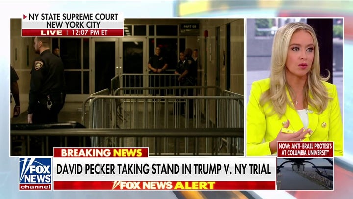 Kayleigh McEnany: Media's coverage of Trump trial could 'backfire' on Dems