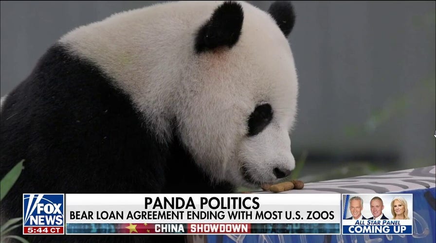 To China and Xi, even pandas are political. And now, three bears will exit  the US