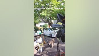 TERRIFYING video shows coyote chasing toddler outside CA home