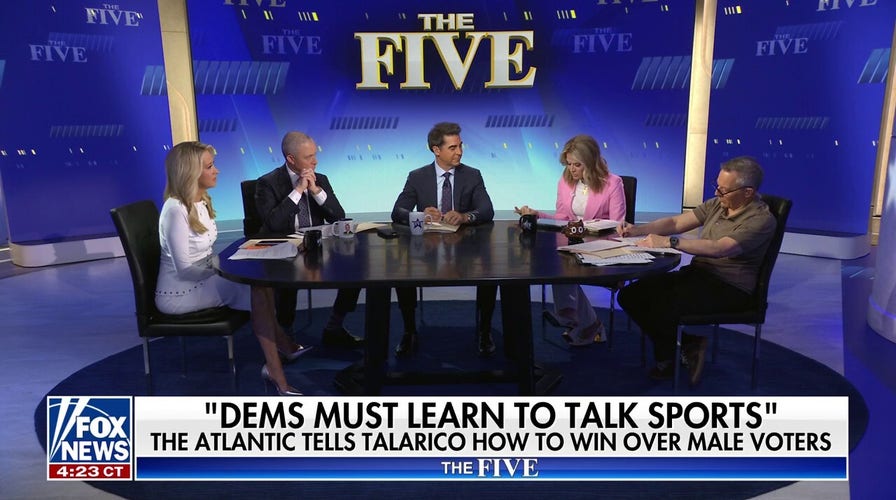 Kayleigh McEnany: Talarico’s claims are ‘blatant mistruths’