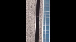 Pro-life climber scales Chase Tower in Phoenix, gets arrested - Fox News