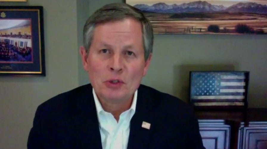 Sen. Daines on working with Booker to unveil $50B small business grant legislation