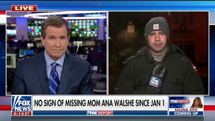 Ana Walshe missing person case is awaiting forensic lab results: Llenas