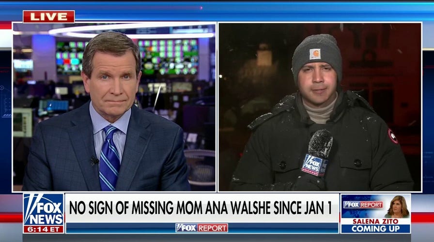 Ana Walshe missing person case is awaiting forensic lab results: Llenas