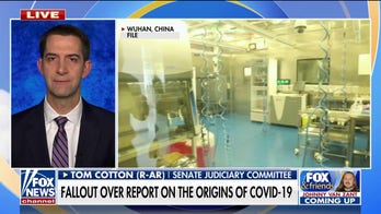 Biden admin continues ‘bending over backwards’ to apologize for China: Sen. Tom Cotton