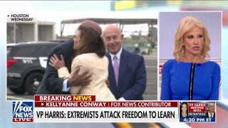 Kellyanne Conway issues warning on Kamala Harris: 'As radical as they come' - Fox News