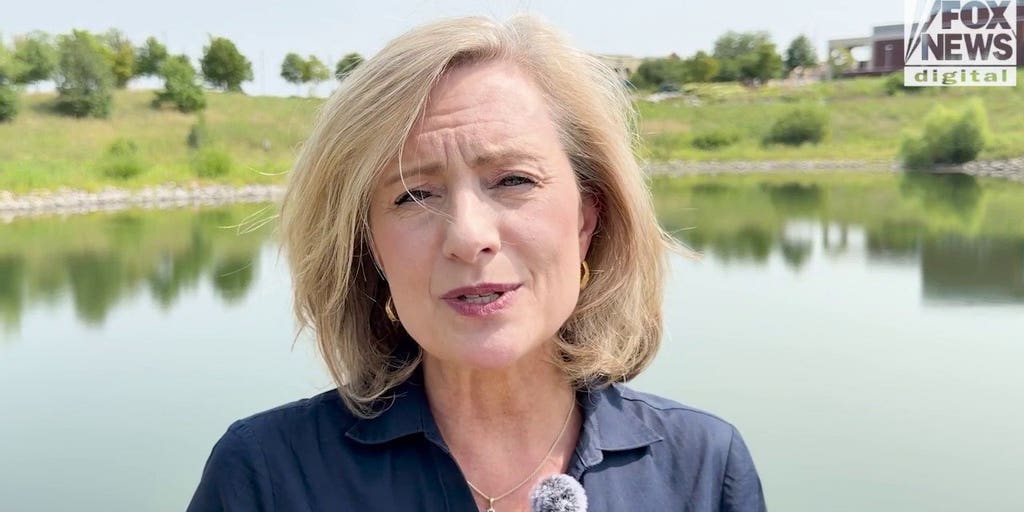 GOP lawmaker previews Minnesota’s consequential primary: ‘Minnesotans are fed up’