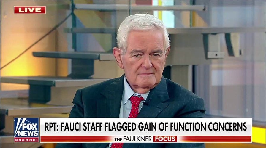 Newt Gingrich blasts 'dishonest' Fauci: He hides behind word games