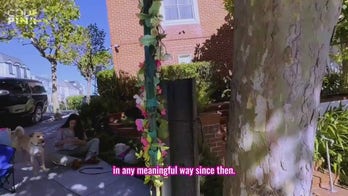 WATCH: Rep. Pelosi tells pro-Palestinian protesters to “go back to China”