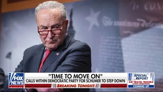 Democratic Party members telephone  for Schumer to measurement   down   aft  healthcare combat  - Fox News