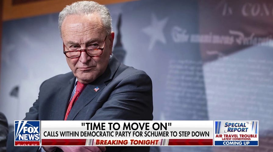 Democratic Party members telephone for Schumer to measurement down aft healthcare fight