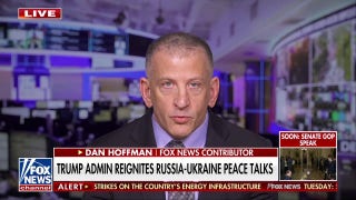 Potential Russia-Ukraine peace plans in the works under the Trump administration
