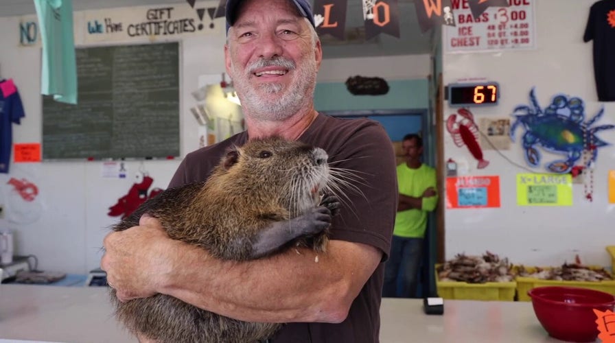 'He thinks he's a dog:' Neuty the Nutria and his family