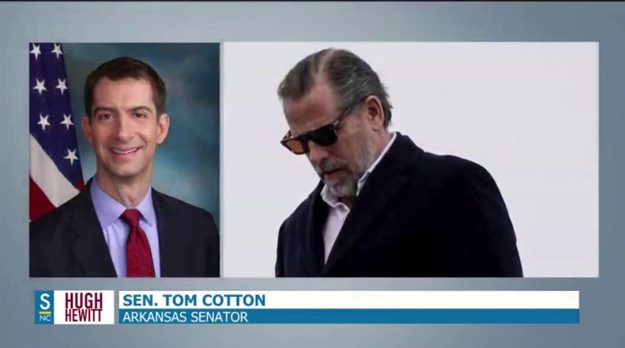 Sen. Tom Cotton: Democrats and the media are acting as 'bodyguards' for Biden and his family