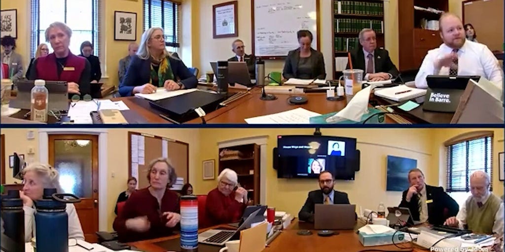 Vermont State Rep. Teddy Waszazak makes viral remark about "picking winners and losers"