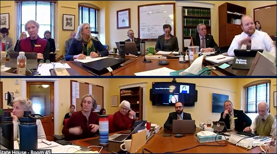 Vermont State Rep. Teddy Waszazak makes viral remark about "picking winners and losers"