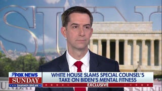 Special counsel report indicates a 'blatant double standard': Sen. Tom Cotton - Fox News