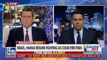 Bernie Sanders is ‘not connected to reality’: Danny Danon