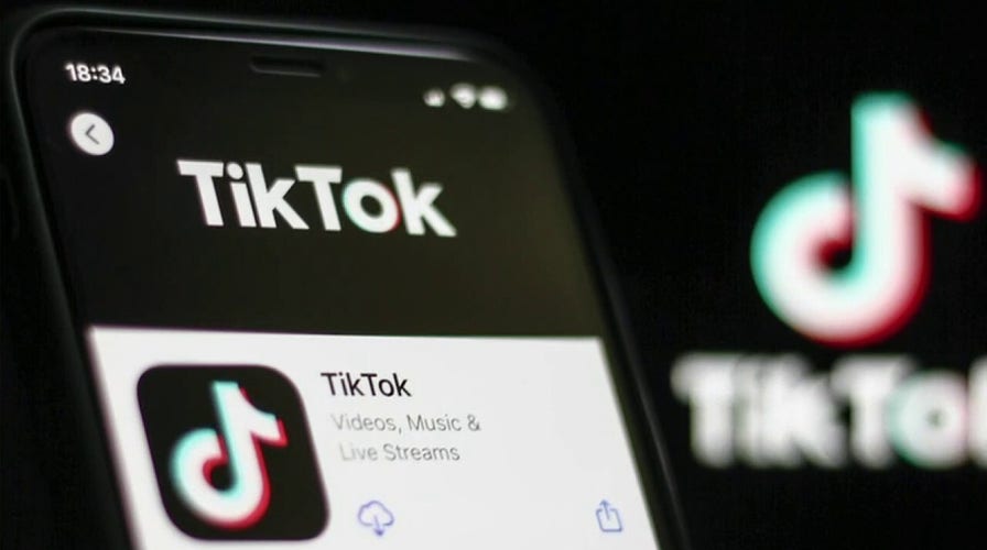 Concern grows over TikTok app algorithms and youth mental health