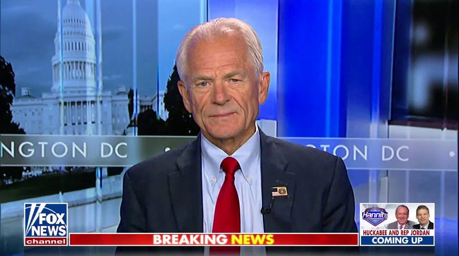 There are very key constitutional issues at stake: Peter Navarro