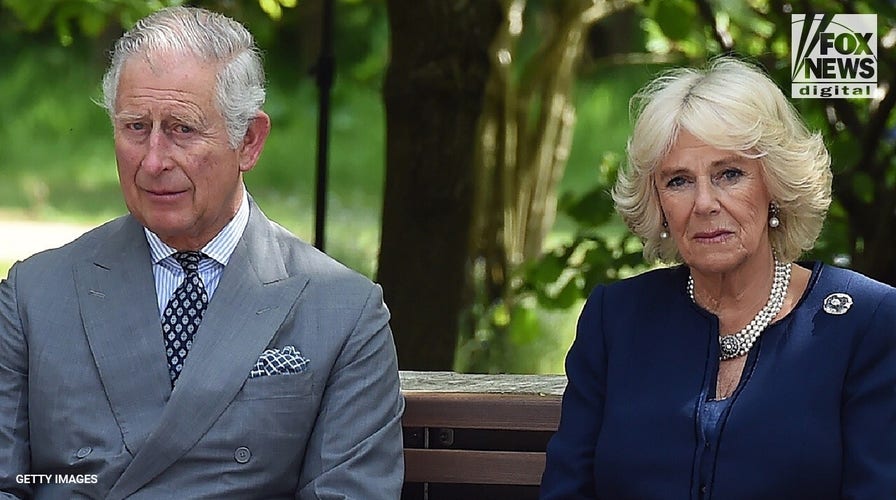 King Charles, Queen Camilla are competitive over unique hobby: author