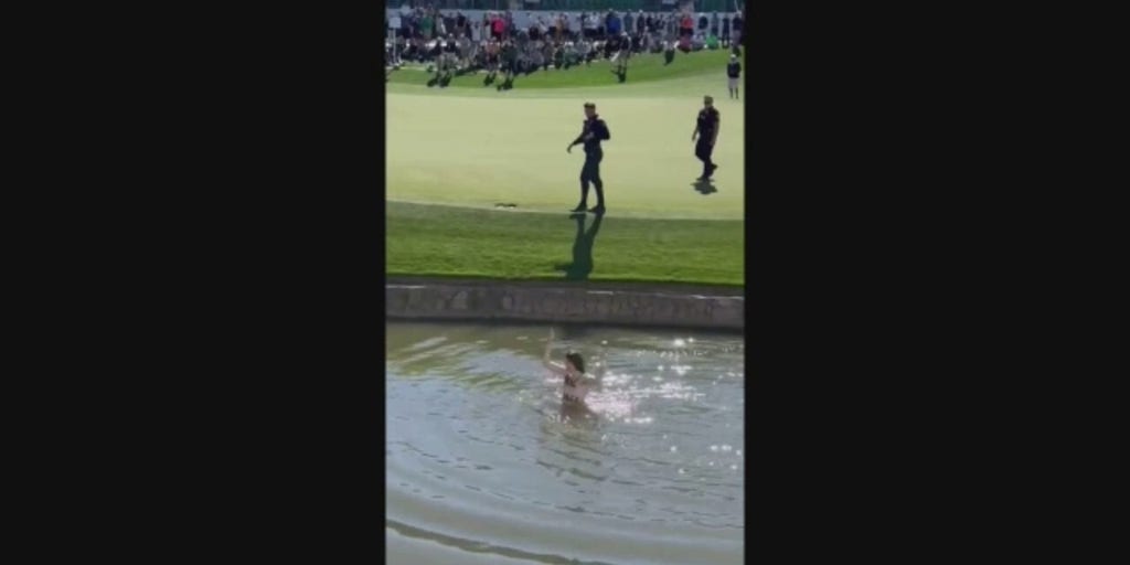 Streaker steals the show at Waste Management Phoenix Open at TPC