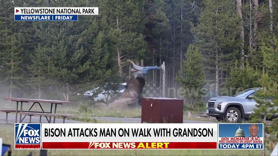 Bison attacks man at Yellowstone National Park campground