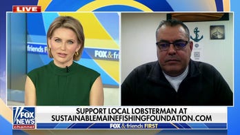 Lobster industry targeted by environmental groups backed by left-wing dark money donors