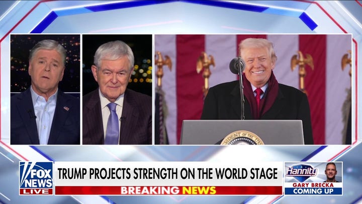 Newt Gingrich's message to Europe: America in the long run can't prop you up