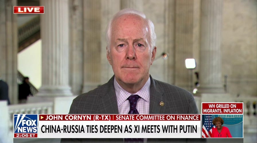 China-Russia relationship a 'call to arms for the democracies of the world': Sen. Cornyn