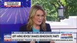 Democrats should heed this warning, former Biden adviser says