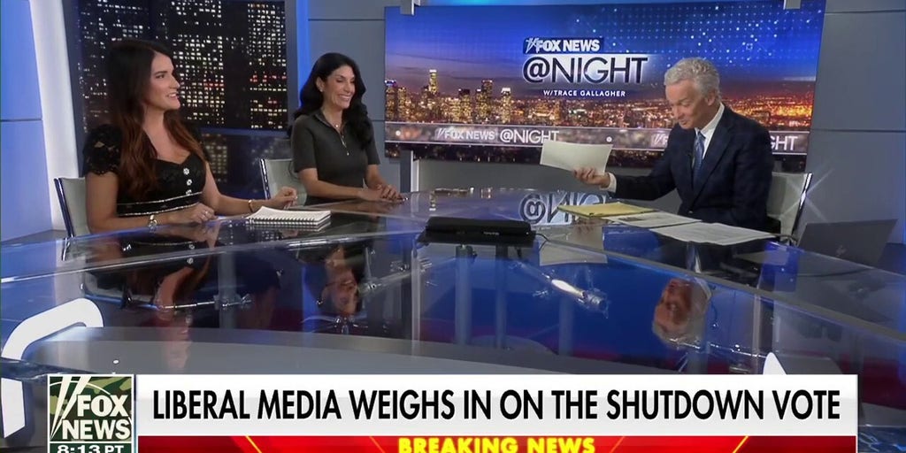 Shutdown leads to debates over Chuck Schumer’s role in the Democratic Party