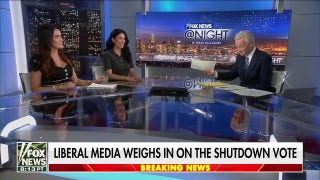 Shutdown leads to debates over Chuck Schumer’s role in the Democratic Party