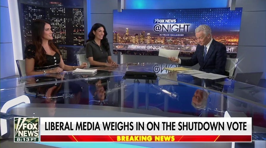 Shutdown leads to debates over Chuck Schumer’s role in the Democratic Party 