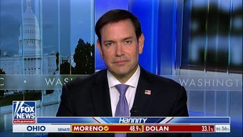 Obama judge's ruling illegal immigrants have gun rights is an attempt to blur line between alien and citizen: Marco Rubio