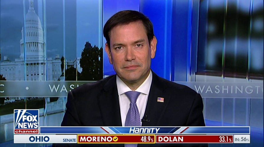 Obama judge's ruling illegal immigrants have gun rights is an attempt to blur line between alien and citizen: Marco Rubio