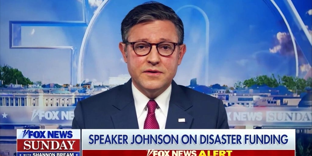 Hurricane Helene response at the federal level has been a 'massive failure': House Speaker Mike Johnson