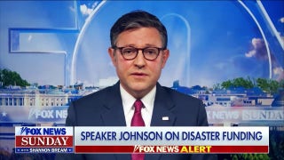 Hurricane Helene response at the federal level has been a 'massive failure': House Speaker Mike Johnson - Fox News