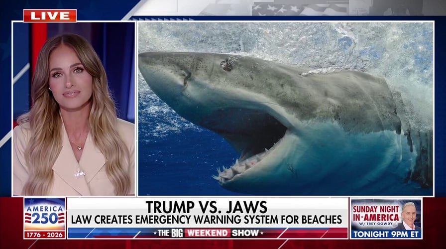 New law creates emergency alert system for shark sightings