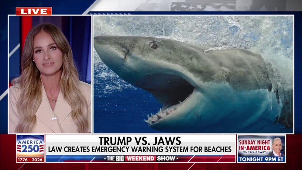 New law creates emergency alert system for shark sightings
