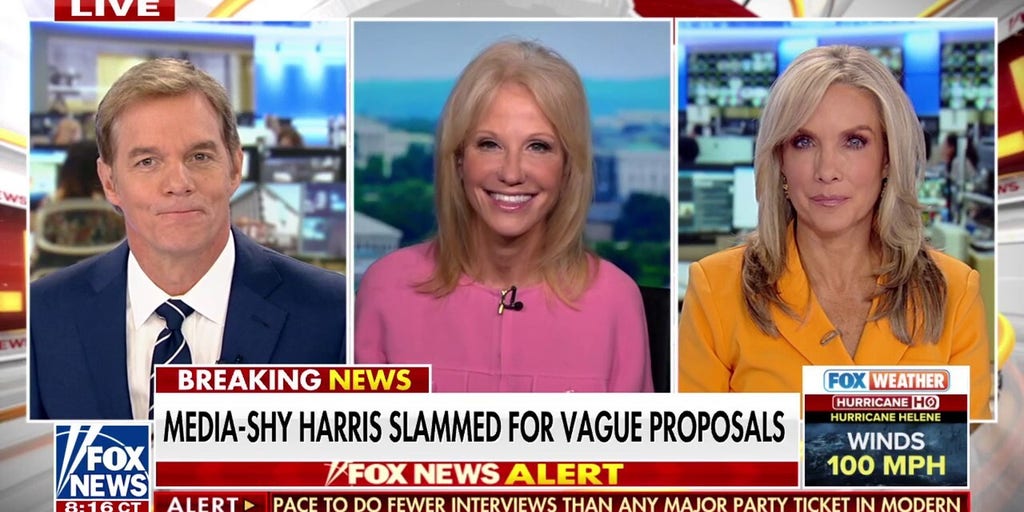 Kellyanne Conway: Kamala Harris cannot articulate a vision for the economy