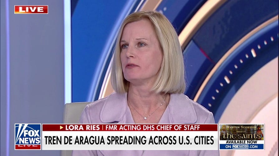 Tren de Aragua is 'wholly an issue' created by Biden admin, says ex-DHS official